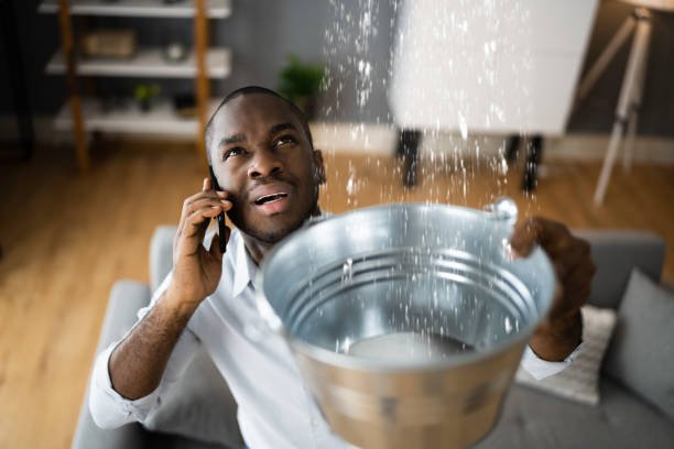 Best Flood damage cleanup  in Brownsville, KY