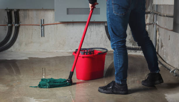 Best Sewage cleanup and water damage restoration  in Brownsville, KY