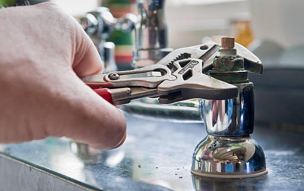 Best Water damage contractors near me  in Brownsville, KY