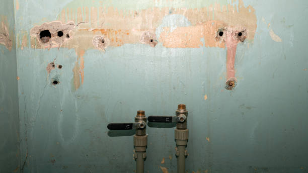 Best Residential water damage restoration  in Brownsville, KY