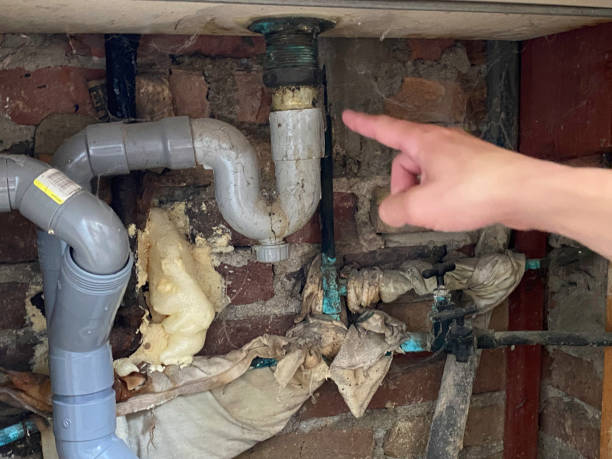 Best Commercial water damage restoration  in Brownsville, KY